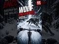 POV: A Wolf Suddenly Crossed My Snow Ride 😱🐺