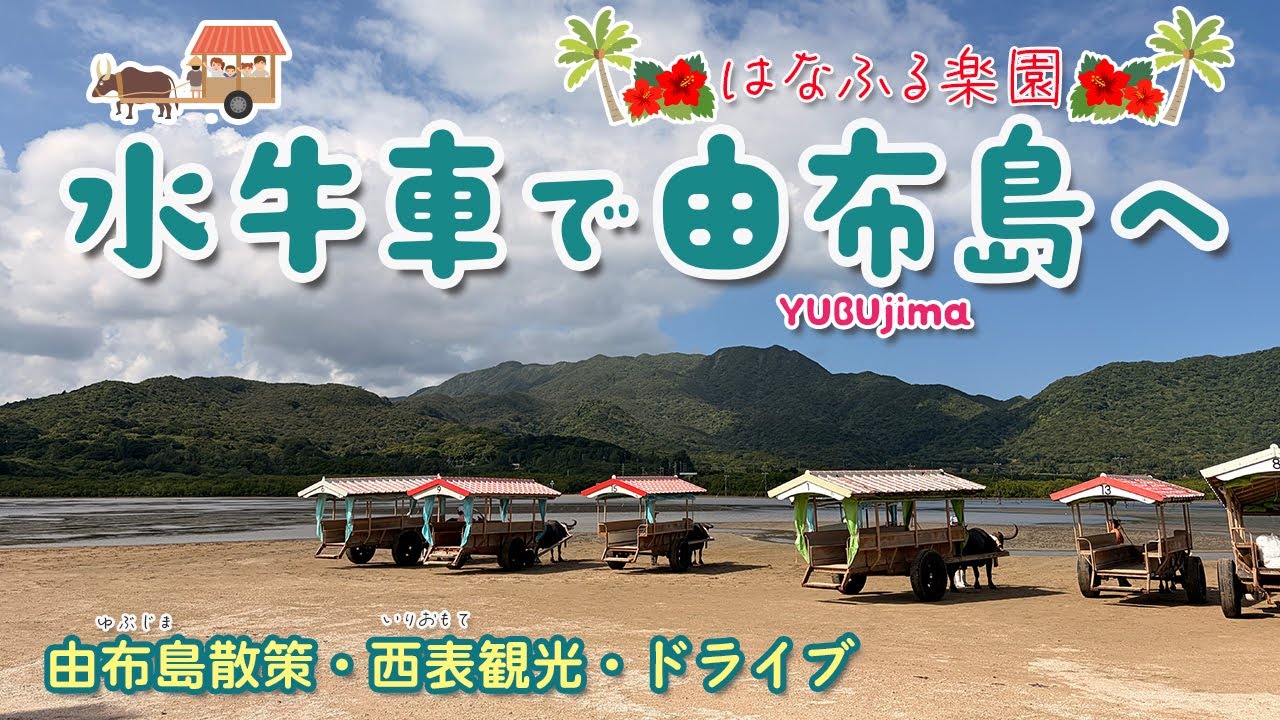 【水牛車で西表島から由布島まで癒しの海越え】由布島が楽園すぎた＊西表島レンタカー観光