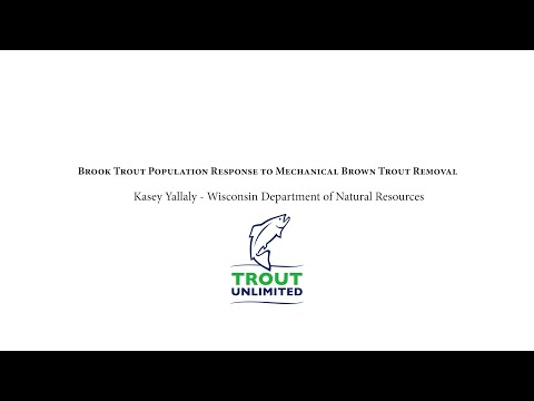 Driftless Area Symposium 2024 - Brook Trout Population Response to Mechanical Brown Trout Removal