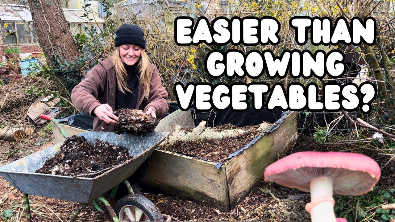 Выращивайте грибы на древесной щепе | Как сделать грядку для грибов в саду