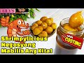 Shrimp Puffs Balls / Shrimpylicious Balls - Maliit Ang Puhunan, Mabilis Ang Kita!