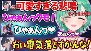 一ノ瀬うるはのあまりにも可愛すぎる悲鳴を弄り倒す八雲べにと猫汰つなｗ【八雲べに/一ノ瀬うるは/英リサ/猫汰つな/ぶいすぽ】