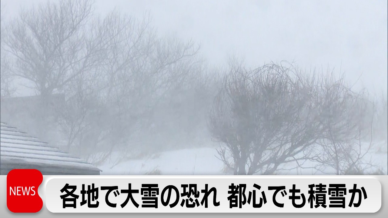 Hokkaido hit by heavy snowstorm, with snow accumulation in Tokyo's