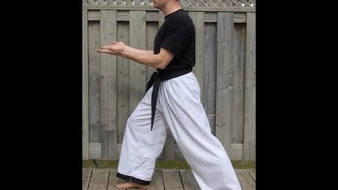 Taekwondo: Hapkido: Foundations: Double palm upward block - side view