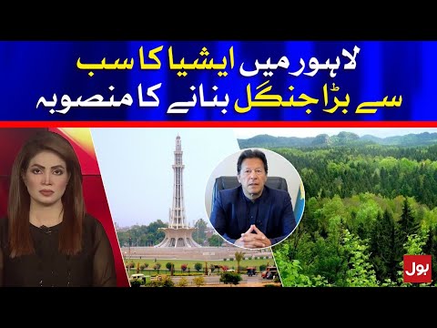 Punjab Govt to Build Asia's Biggest Forest in Lahore