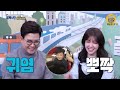 [님아 그 시장을 가오_EP. 17_청양] 이 순두부찌개는 밥 두 공기가 기본입니다! 집 앞이면 매일 출근 도장 찍고 싶은 찐한 순두부찌개집!