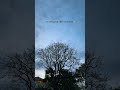 #thoughts #pain #life #like #live #alone #sad #reels #depression #shortvideo