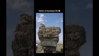 oh yeah, tester vs developer life😂#shorts #developer #coding #memes #programming