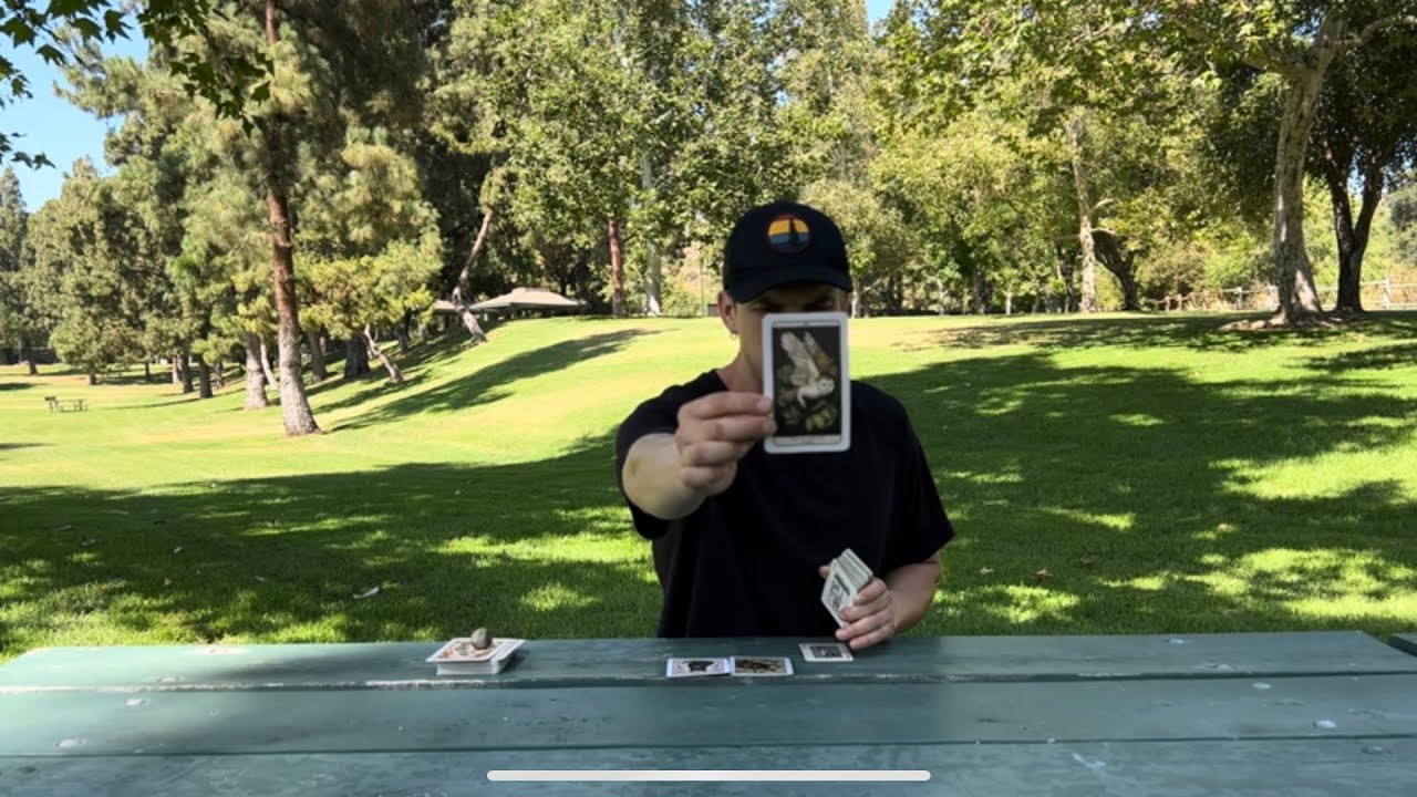 GEMINI - The blue print