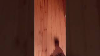 #çgh2 #crash #youtube #funny #bayram #deneme #araba