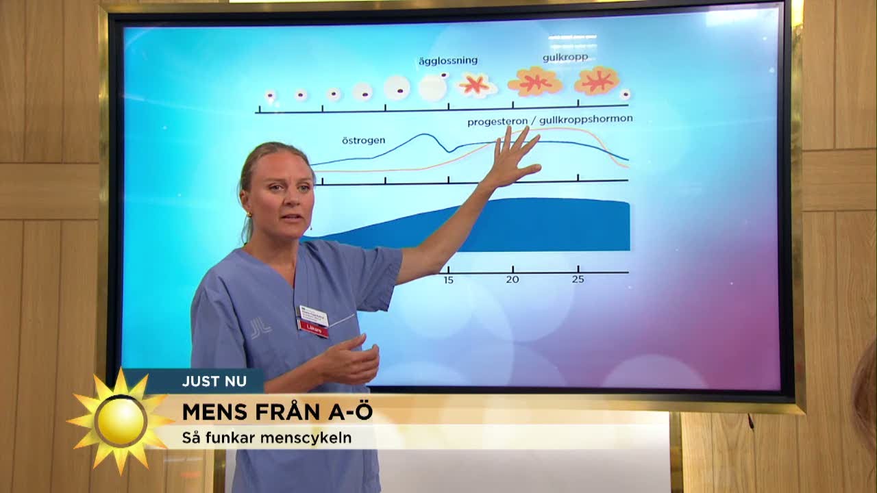Så funkar menscykeln: u201dDå mår många kvinnor som sämstu201d - Nyhetsmorgon (TV4)