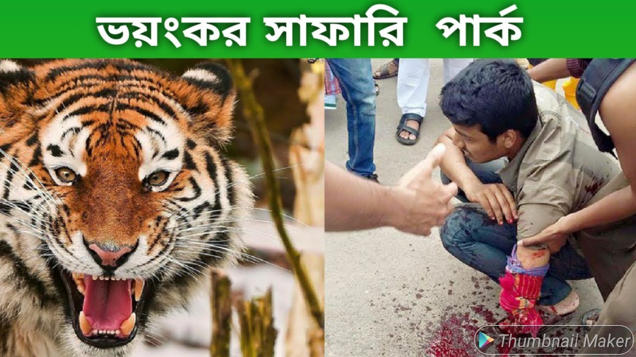 Bongobondhu Sheikh Mujib Safari Park A to Z Information Most