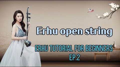 Cathy Erhu 101| |Erhu tutorial for beginner EP2｜How to play open string | CATHY YANG ERHU