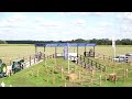 Daniel Schneiders the Marathon Master! 🔥 | FEI Driving European Championship Lähden 2025