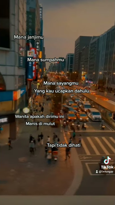 Dj mengapa hatimu berduri ( wanita apakah dirimu ini)  - story wa