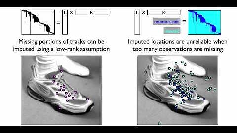 Ricco and Tomasi, ECCV 2012 Spotlight