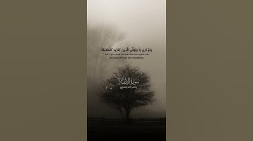 اكتب شيء تؤجر عليه 😴🤍 اذكر الله يذكرك #قران كريم بصوت القارئ ياسر الدوسري