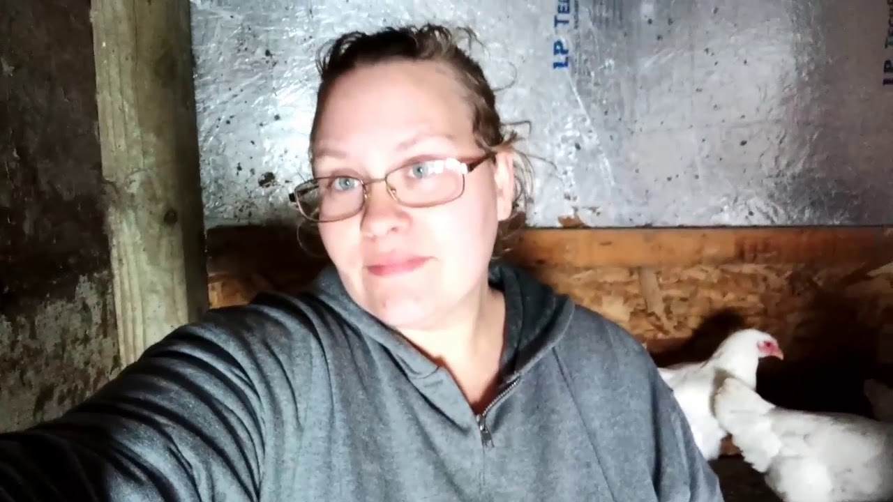 There's a new rooster in the hen house! 🐓 YouTube