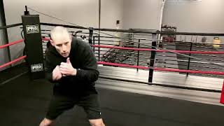 Prototype Boxing
