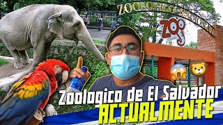 😱🦁 Así esta ACTUALMENTE el ZOOLÓGICO de El SALVADOR 🇸🇻 en 202🐒