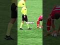 Diese Fußballer sollten einfach einer Möwe helfen