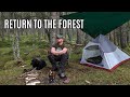 Camping foraging and forest cover in scotland