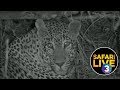 safariLIVE on SABC 3 S1 - Episode 1