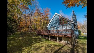 27 Bears Den video tour