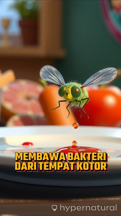 lalat hijau #trending #trendingshorts #trendingvideo #facts #fyi #feedshorts #ytshorts