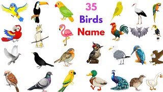 35 birds name | birds name in english | birds name with pictures #birds #birdsname #english