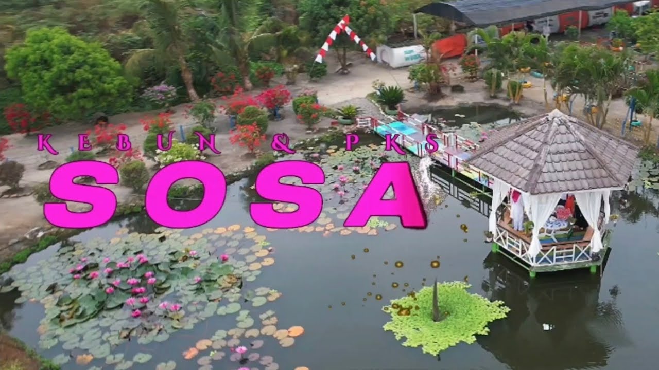 Kebun Asri Sosa - KLH Kebun dan PKS Sosa 2025