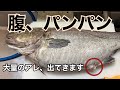 北海道のえりも岬から来た特大鱈がヤバかった。とりあえず捌く編【cod】