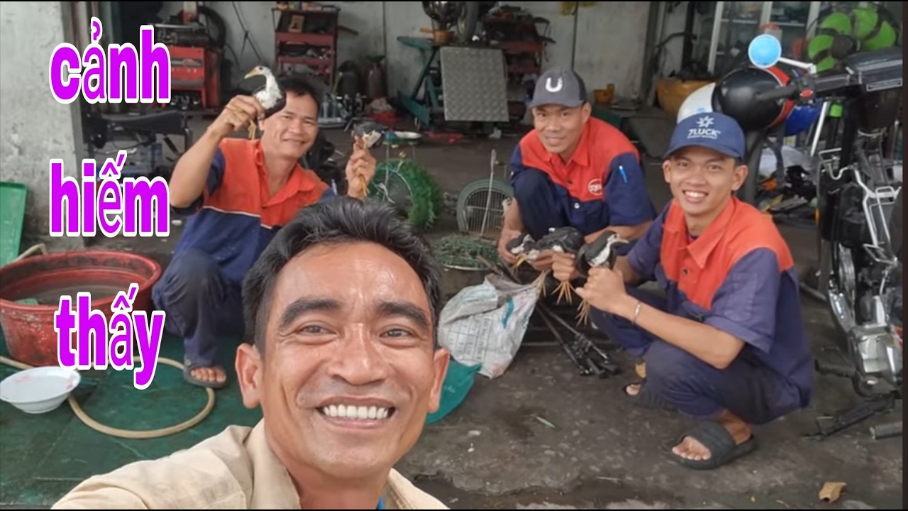Độc Lạ Việt Nam Một Chỗ Dính Tới 6 Con Quốc Quá Kinh Điển # SĂN BẮT ĐỒNG THÁP #