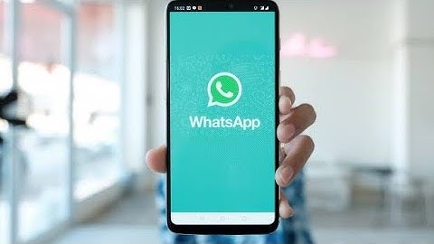 WhatsApp now lets you mute individual users during group calls