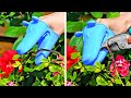 Clever Growing Plant Hacks And Easy Garden Organization Ideas