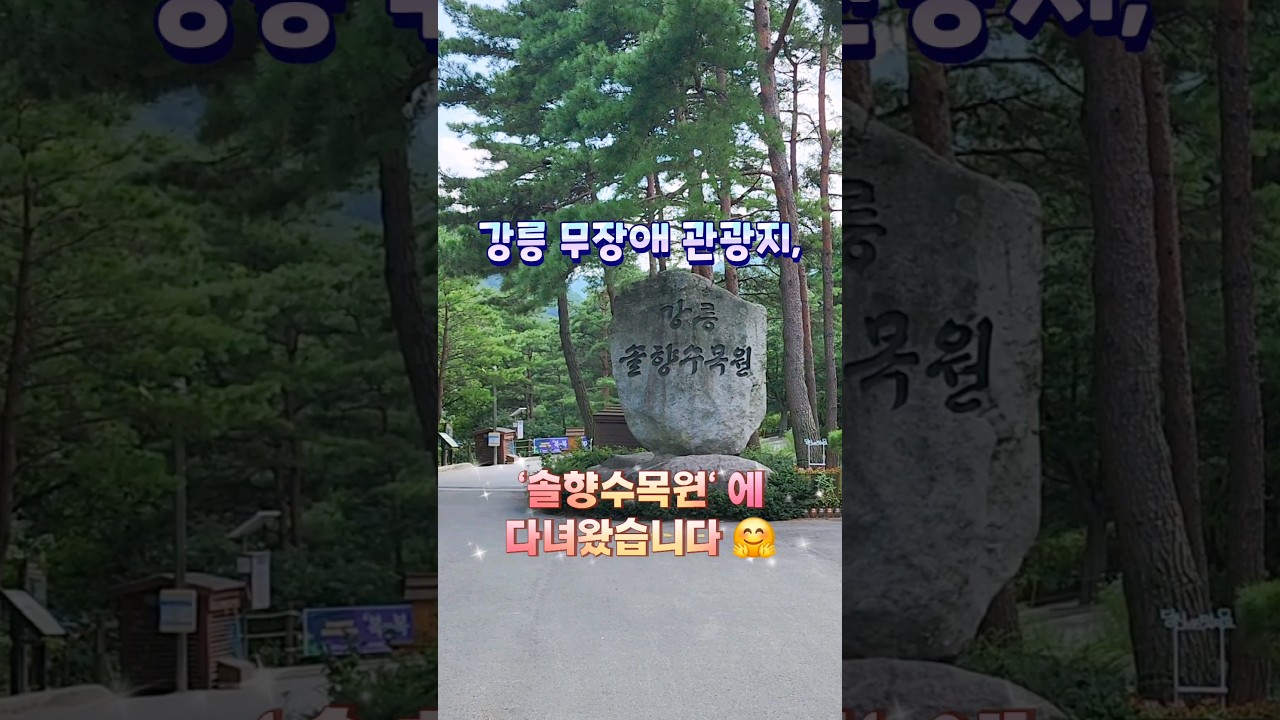 [여행 브이로그] 무장애 관광지 '솔향수목원'에 다녀왔습니다. #여행 #여행브이로그 #shorts #shortvideo #쇼츠 #강릉 #솔향수목원 #무장애여행 #브이로그 #vlog