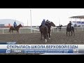 Школа верховой езды появилась в Павлодаре