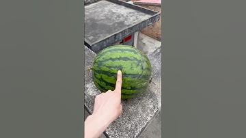 Experiment: Will a watermelon explode if it rolls down from a tall building?