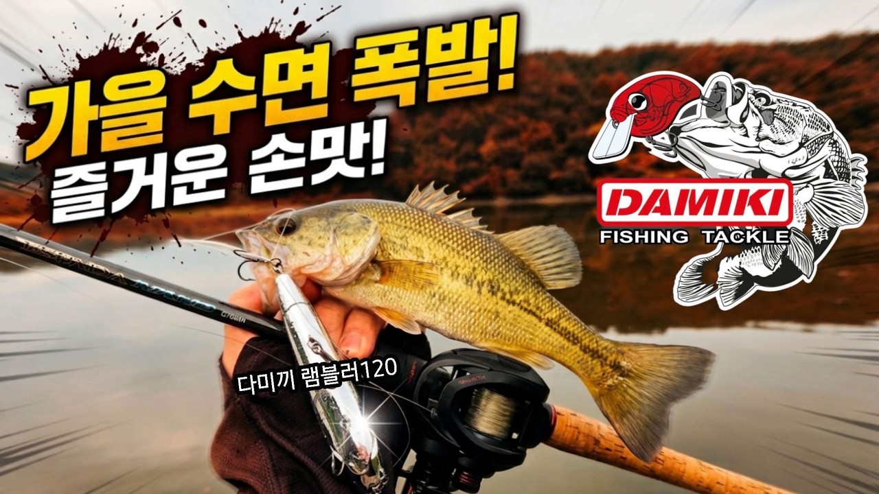 배스낚시 찬바람 불어오는 가을 탑워터로 배스잡기 #DAMIKI #DAMIKIFISHING #다미끼 #다미끼루어 #bassfishing #angler #fishing #짬낚