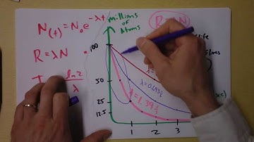 Radioactivity, Exponential Decay, and Half-Life Summary and Conclusions | Doc Physics