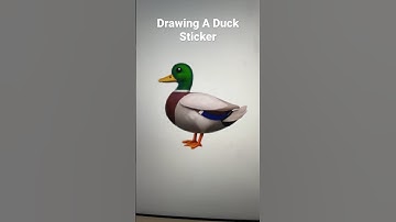 Drawing A Duck Sticker #art #procreate #shorts