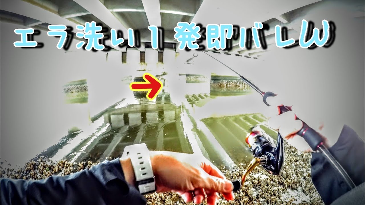 6 5 九十九里 南白亀川河口ルアーフィッシング Youtube 6 5 九十九里 南白亀川河口ルアーフィッシング Youtube