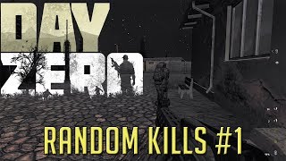 DayZero | Random kills compilation #1