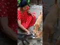 #shorts #ytshorts #dog #dogshorts #puppy #puppylove #puppylife #pets #petlover