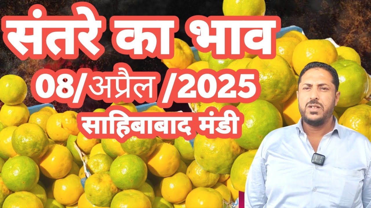 Orange Rates 08/अप्रैल/2025 🍊संतरे का भाव साहिबाबाद मंडी |today orange rates #orange ...