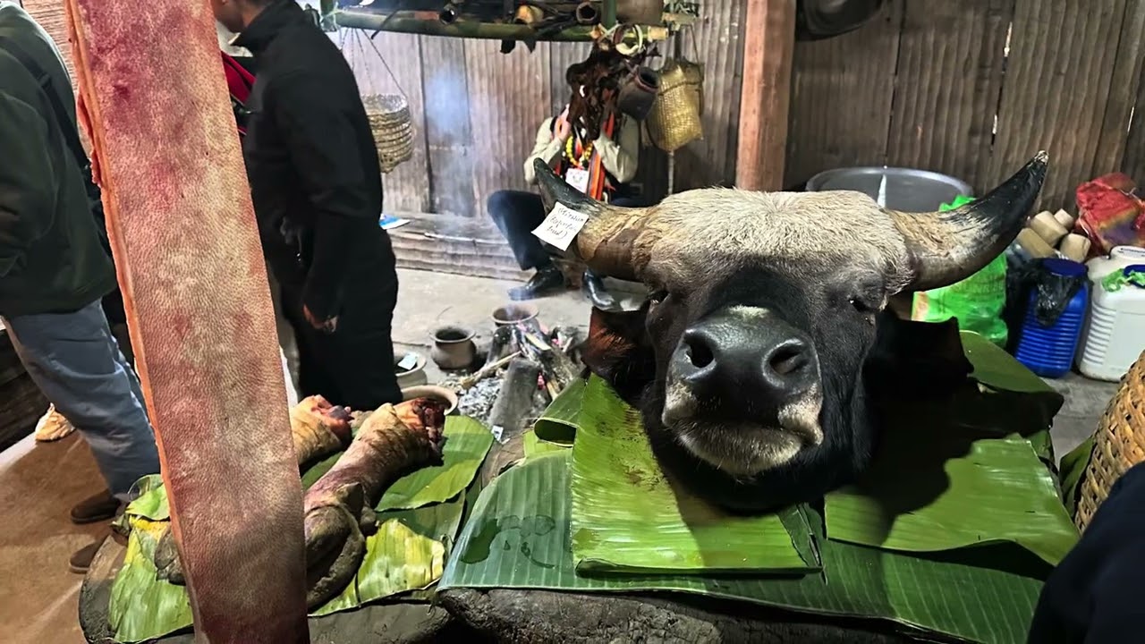 SSD 33 Kisama HornBill Festival 01 Dec