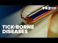 How one woman is making the most of living with serious tick-borne illnesses