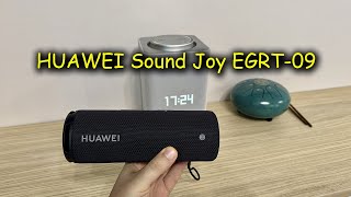 Обзор - портативной колонки HUAWEI Sound Joy EGRT-09