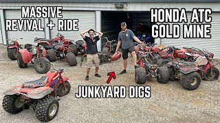 I Found 23 ABANDONED 3 Wheelers, Will they Run + Ride?