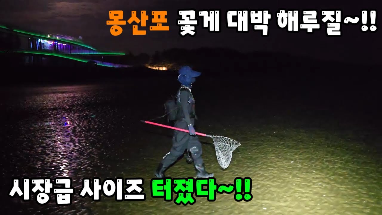 몽산포 꽃게 대박 해루질~!! 시장급 사이즈 터졌다 ~!!